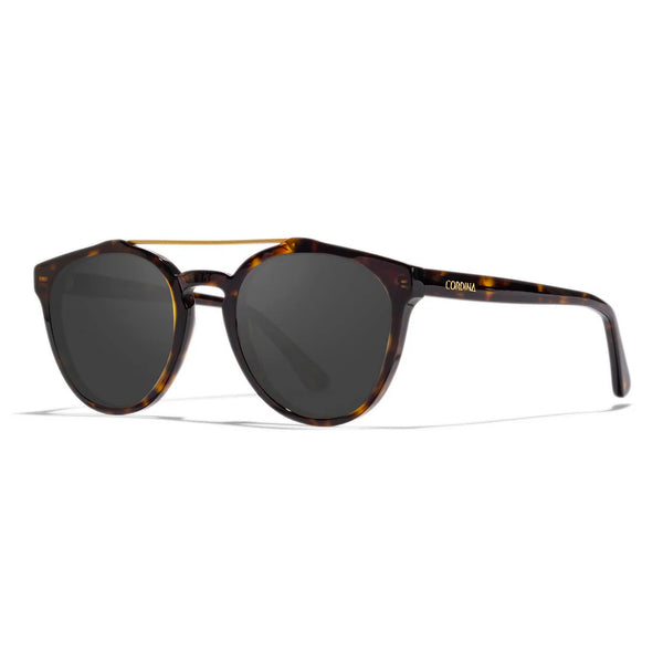 Cordina Twin Palms Shiny Dark Tortoise Grey Polarized