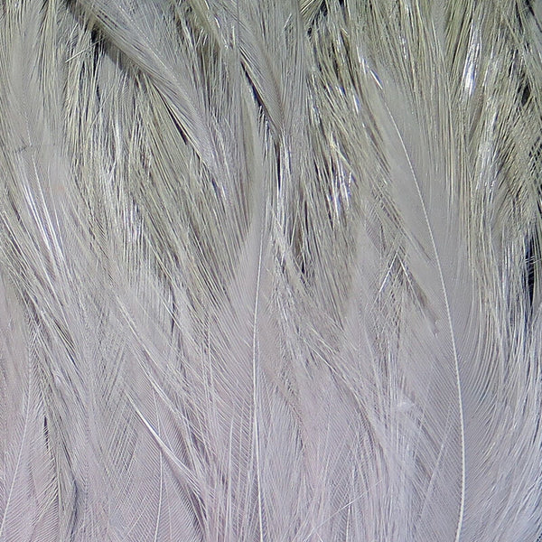 Saltwater Neck Hackle