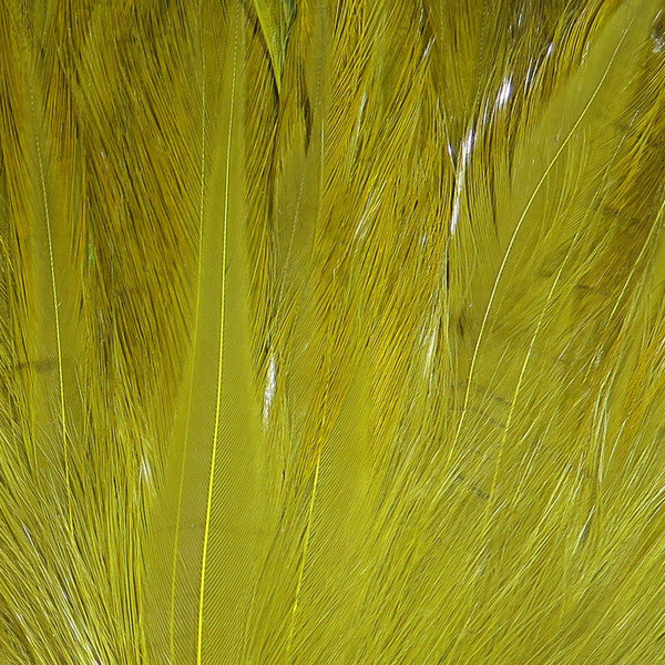 Saltwater Neck Hackle