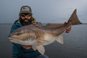 The SSO Gang Takes on Louisiana