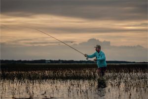 Rods