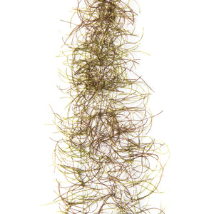 MFC Rubber Bugger Hackle