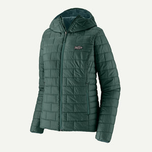 Women's Nano Puff Fitz Roy Trout Hoody