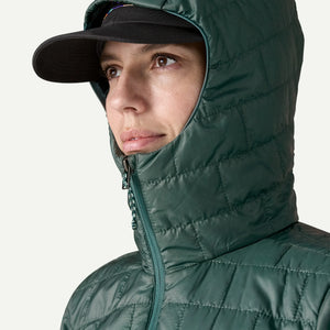 Women's Nano Puff Fitz Roy Trout Hoody
