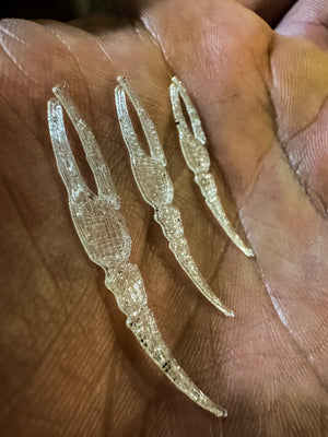 Oyster Street Company Lowcountry Fiddler Claws