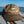 Sound Side Outfitters Fly Script Hat