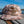 Sound Side Outfitters Fly Script Hat