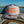 Sound Side Outfitters Fly Script Hat