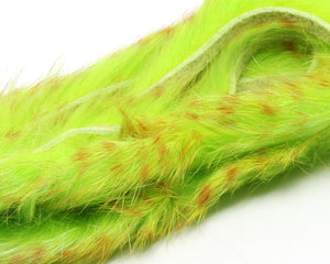 Barred Polychrome Rabbit Strips