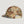 Tide Chaser Mesh Hat