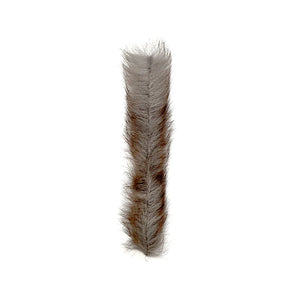 MFC Bunny Brush