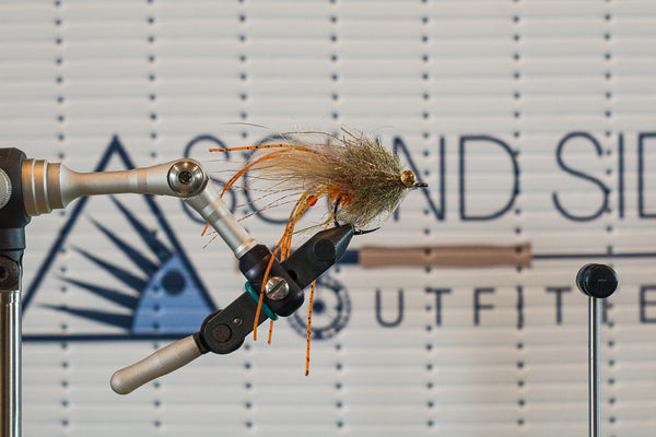 Justus's Menace Shrimp
