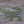 Flats Craft Mutineer