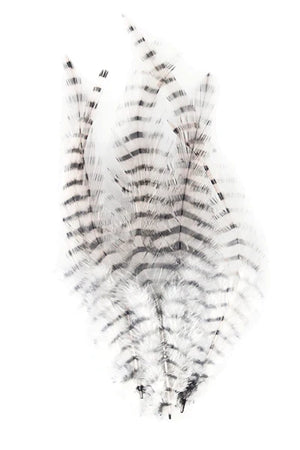 MFC Barred Saddle Hackle