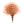 MFC Barred Marabou