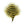 MFC Barred Marabou