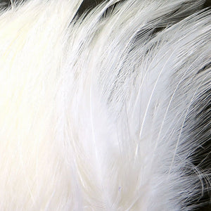 Saltwater Neck Hackle